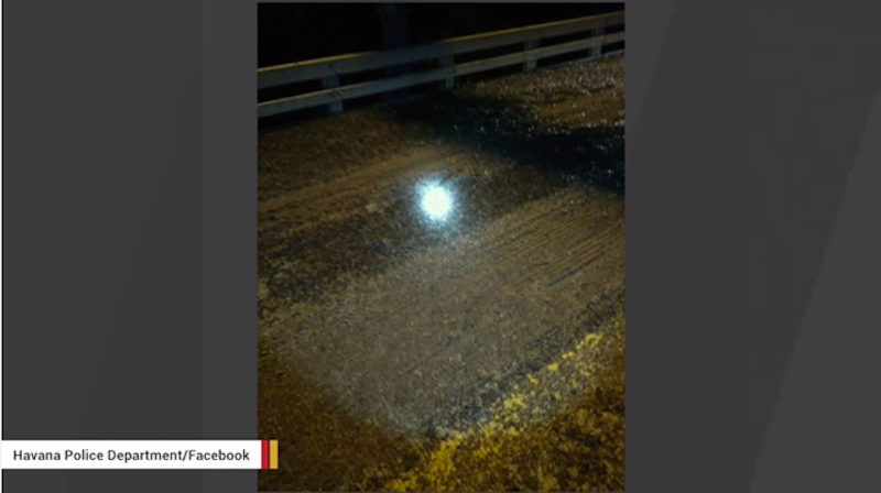 Illustration for article titled Mayflies Invade Bridge in Central Illinois, End Of Days ImminentÂ